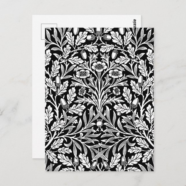 Carte Postale Miroirs's Acorns et chêne Feuille noir et blanc (Devant / Derrière)