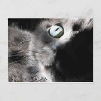 Carte Postale "Miss Precious"