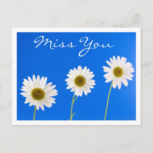Carte postale Miss White Daisy Floral Grey (Devant)
