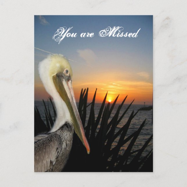 Carte postale Miss You_ (Devant)