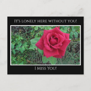 Carte Postale Miss You, C'est ici seul Rose rouge avec Raindrops