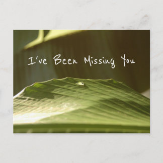 Carte Postale "Missing You", gouttelette d'eau sur feuille de ba