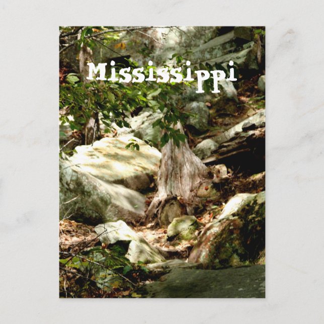 Carte Postale Mississippi (Devant)