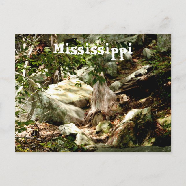 Carte Postale Mississippi (Devant)