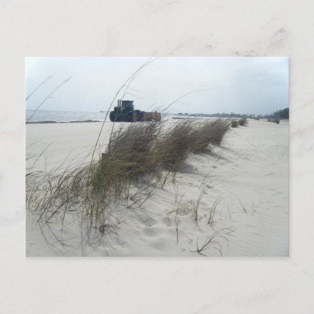 Carte postale Mississippi Beach (Devant)