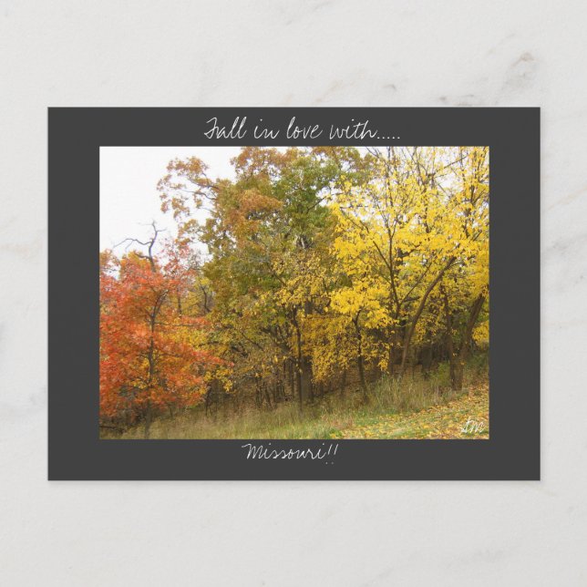 Carte postale Missouri (Devant)