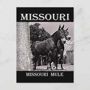 Carte Postale Missouri
