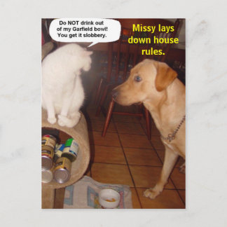 Carte Postale Missy établit des règles de l'intérieur.