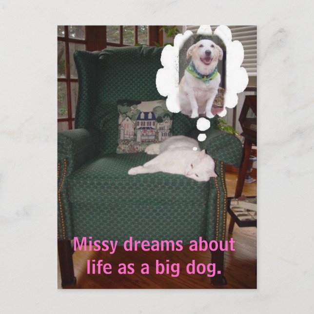 Carte Postale Missy rêve de la vie comme un gros chien. (Devant)