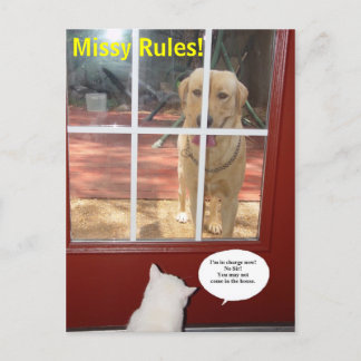 Carte Postale Missy Rules !