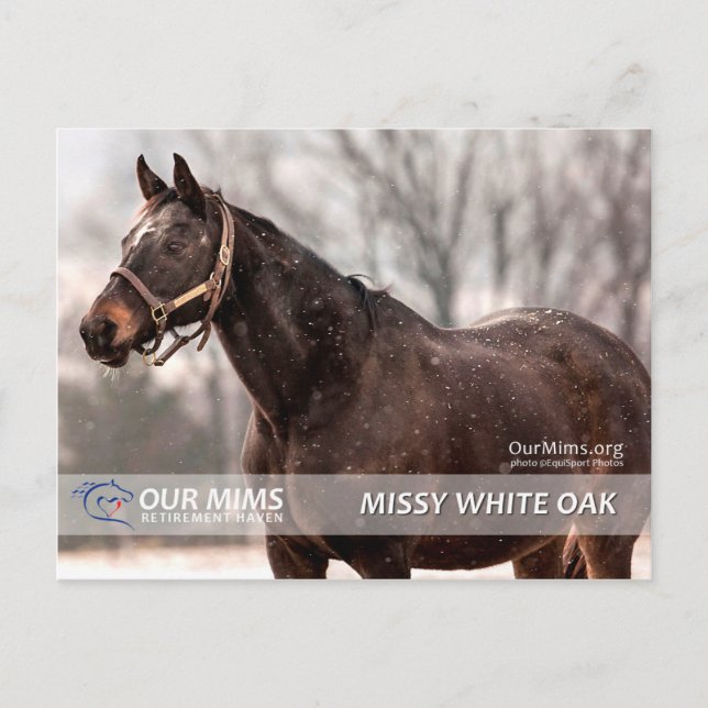 Carte postale Missy White Oak (Devant)