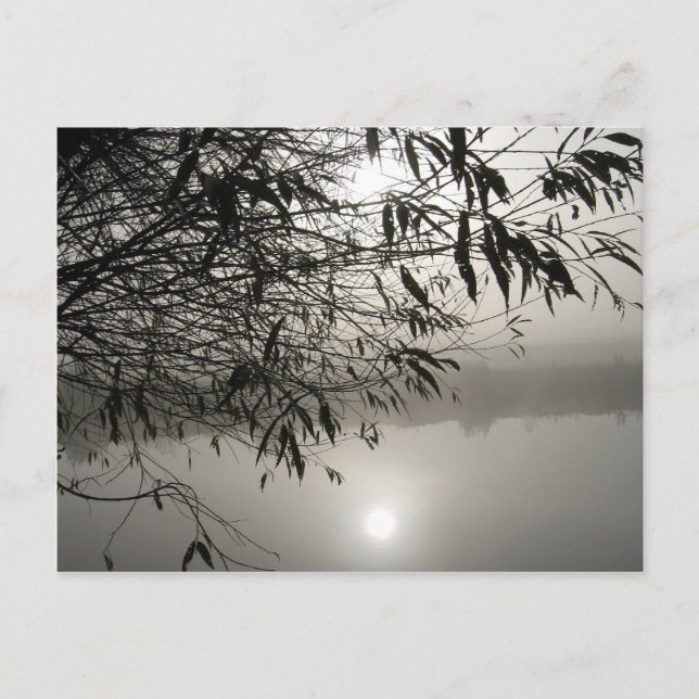 Carte postale Mist et Shadow (Devant)