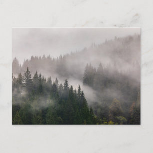 Carte Postale Misty Forest in the Mountains