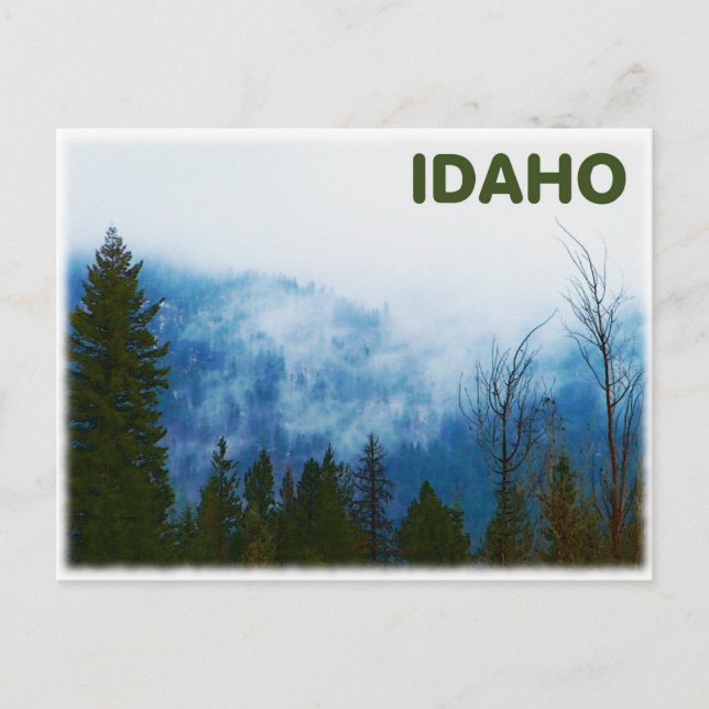 Carte Postale Misty Grey (Devant)