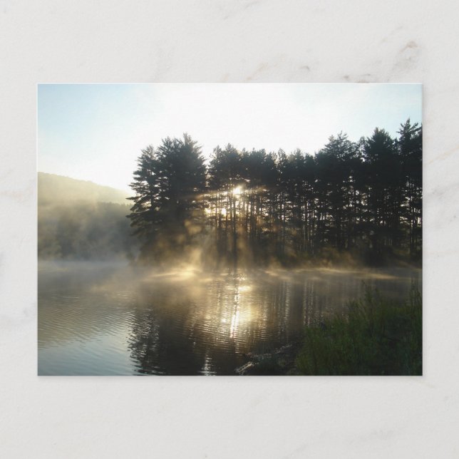 Carte Postale Misty Morning Sunrise Allegheny State Park (Devant)