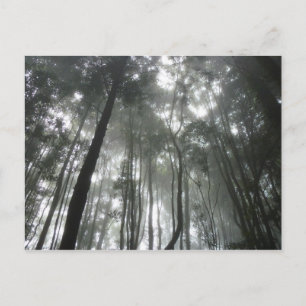 Carte postale Misty Mountains