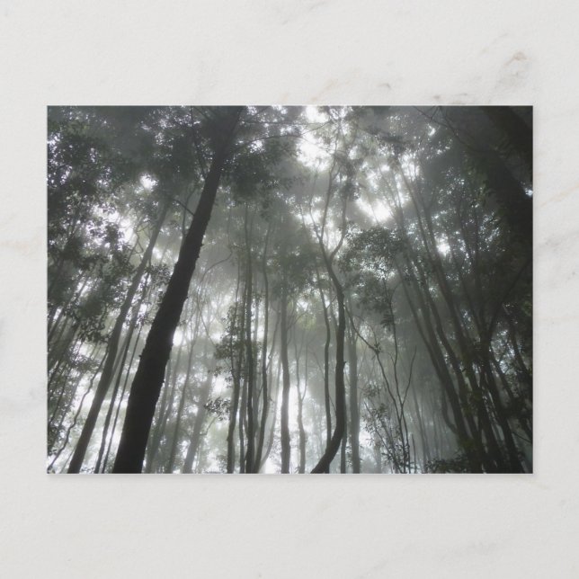 Carte postale Misty Mountains (Devant)