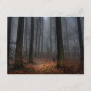 Carte Postale Misty Path to Flat Top Mountain