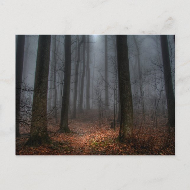 Carte Postale Misty Path to Flat Top Mountain (Devant)