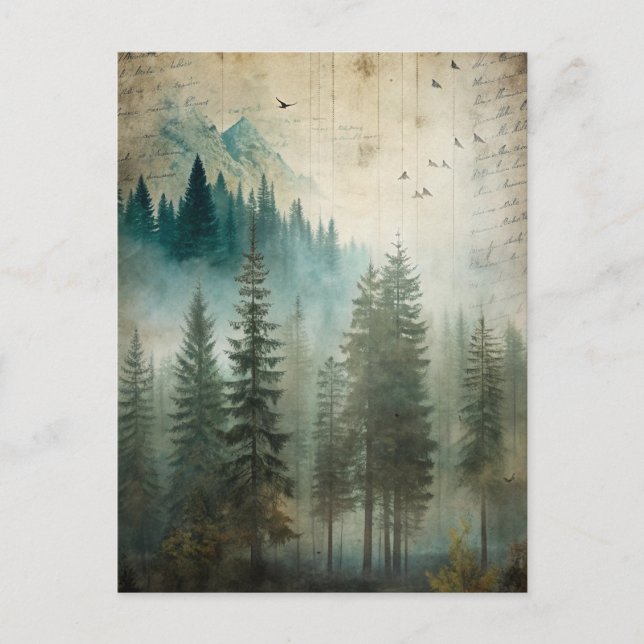 Carte Postale Misty Pine Forest Nature Adventure (Devant)