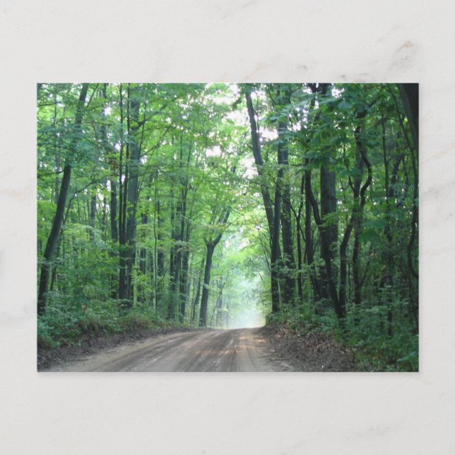 Carte postale Misty Road (Devant)