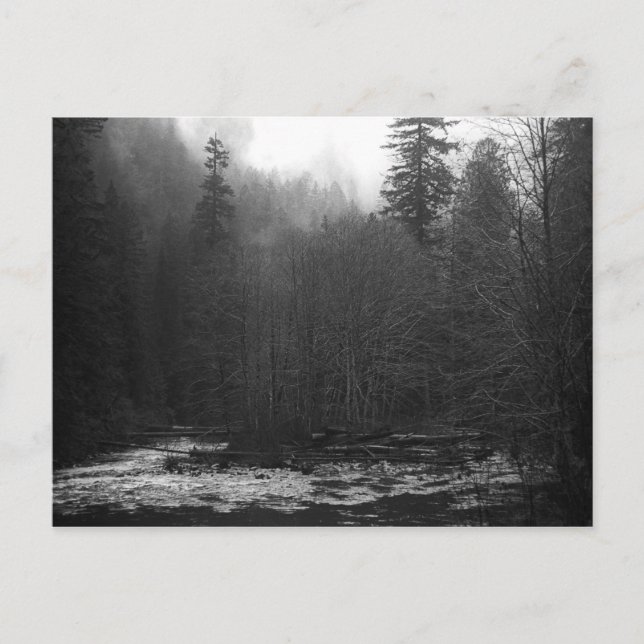 Carte postale - Misty Saumon River, Oregon (Devant)