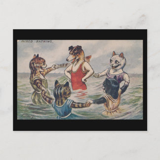 Carte Postale Mixed Bathing - Dog and Cats Postcard