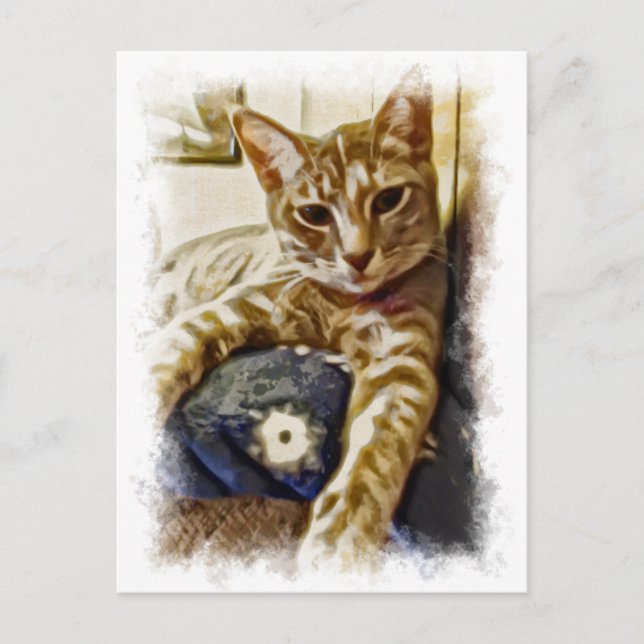 Carte Postale Miyu Cat Art (Devant)