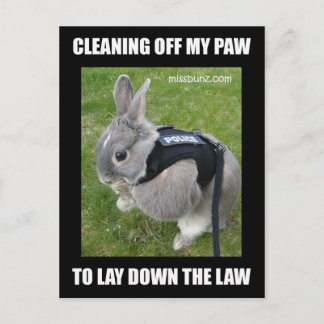 Carte postale Mlle Bunz Cleaning Paw