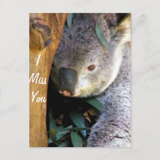 Carte Postale Mlle You_