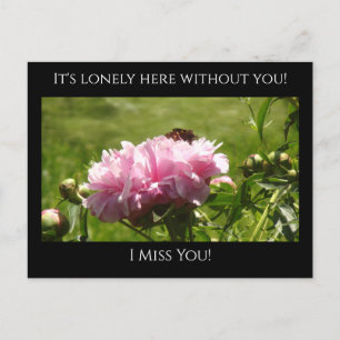 Carte Postale Mlle You, c'est la solitaire ici Pink Peonies