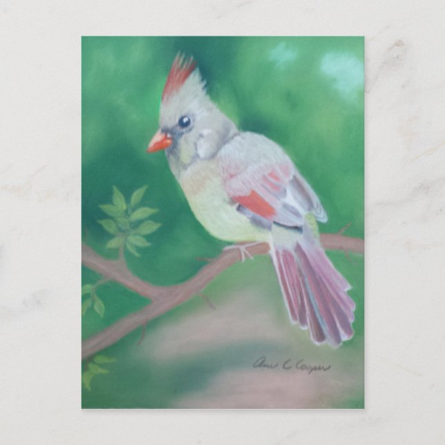 Carte Postale Mme Cardinal (Devant)