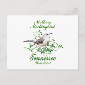 Carte Postale Mockingbird Tennessee State Bird