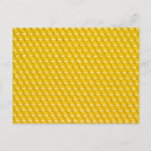 Carte Postale Modèle de cadeaux Arrière - plans Honeypeb (Devant)