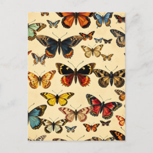 Carte Postale Modèle de collection de papillons vintage