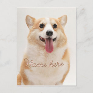 Carte Postale Modèle de photo de nom d'animal de compagnie simpl