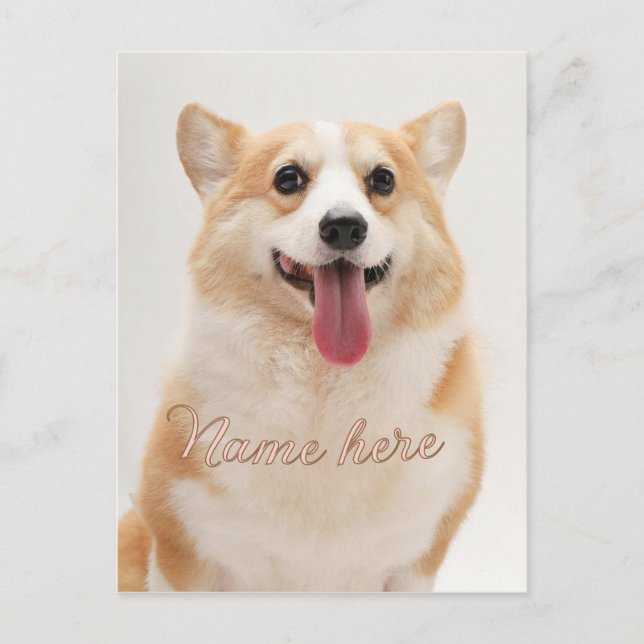 Carte Postale Modèle de photo de nom d'animal de compagnie simpl (Devant)