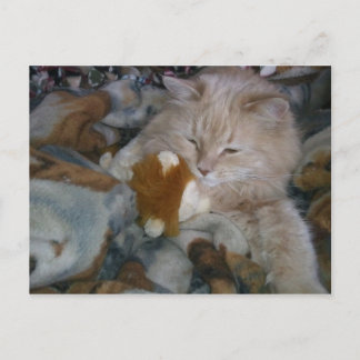 Carte Postale Modèle de rôle