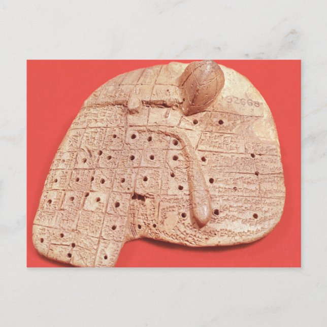 Carte Postale Modèle du foie d'un mouton (Devant)