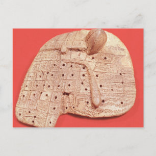 Carte Postale Modèle du foie d'un mouton