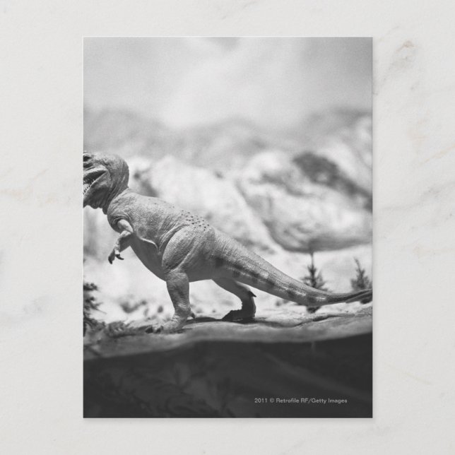 Carte Postale Modèle du rex B&W de tyrannosaurus (Devant)