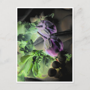 Carte postale Modèle Eggplant & Radis