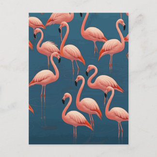 Carte Postale Modèle flamant