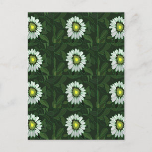 Carte Postale Modèle floral de confleur blanc