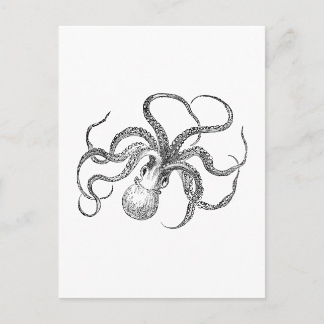 Carte Postale Modèle Octopus vintage (Devant)