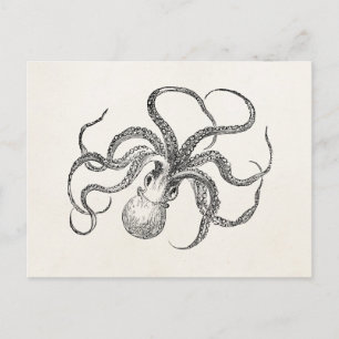 Carte Postale Modèle Octopus vintage sur papier antique