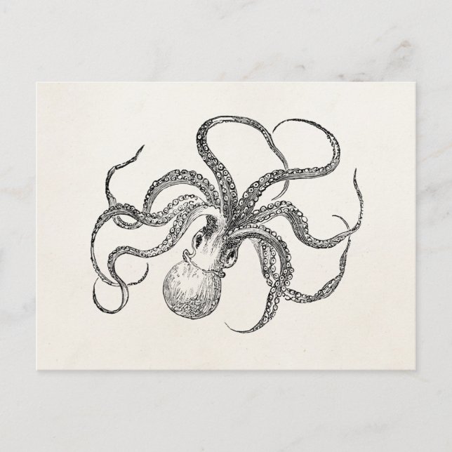 Carte Postale Modèle Octopus vintage sur papier antique (Devant)