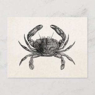 Carte Postale Modèle personnalisé de crabes antiques crabes vint