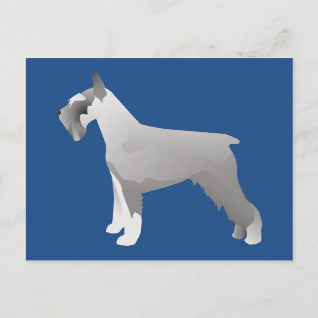 Carte Postale Modèles Schnauzer prêts à Customiser (Devant)