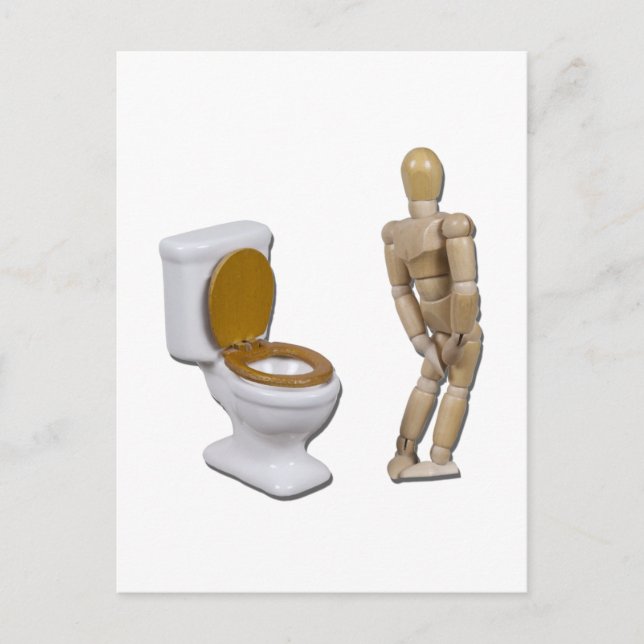 Carte Postale ModelInNeedNextToToilet121611 (Devant)